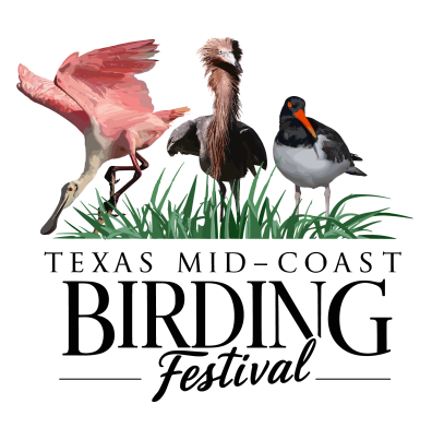 Texas Mid-Coast Birding Festival